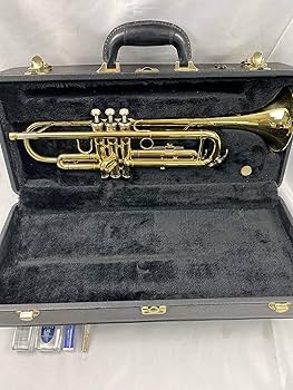 美品　Minerva ミネルバ MTR350L トランペット　ケース付き Minerva ミネルバトランペット MTR350L ケース付き